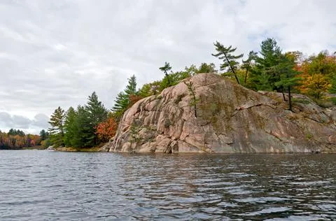 Forest lake Stock Photos