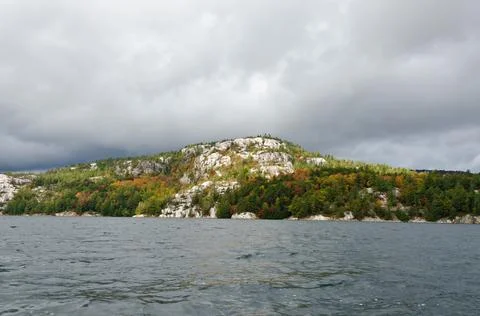 Forest lake Stock Photos