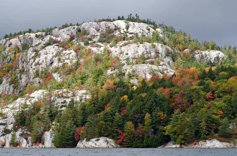 Forest lake Stock Photos