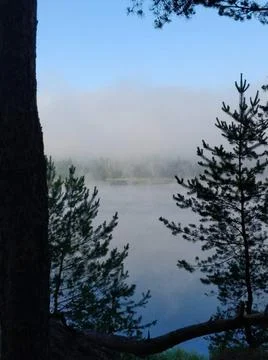 Forest Lake Stock Photos