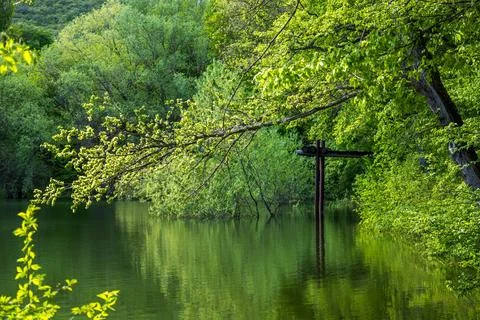 Forest lake Stock Photos