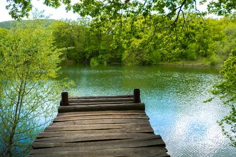 Forest lake Stock Photos