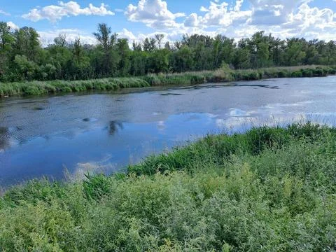 Forest lake Stock Photos