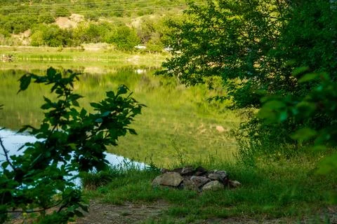 Forest Lake Stock Photos
