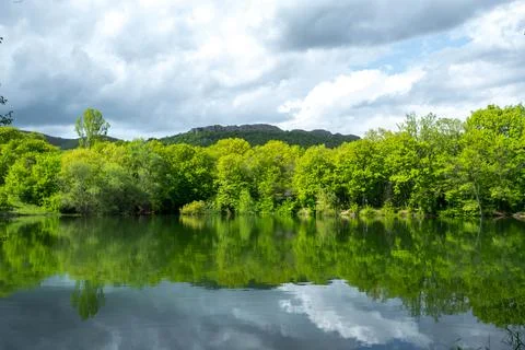 Forest lake Stock Photos