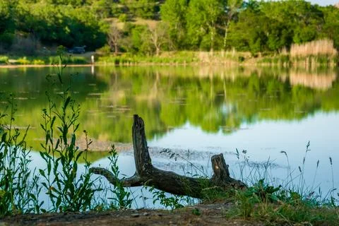 Forest Lake Stock Photos