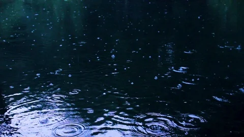 Forest Lake In Rain Video stock 108342750