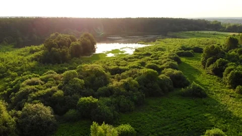 Forest lake, in the rays of the dawn sun, summer trip. The drone footage. Stock Footage 160112949