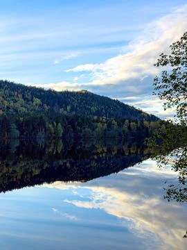 Forest Lake Reflection in Sweden Stockfoto's