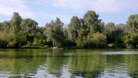 Forest lake scene. Wind blowing. Water ripples. Summer day, sky. No person. 스톡 동영상 106781417