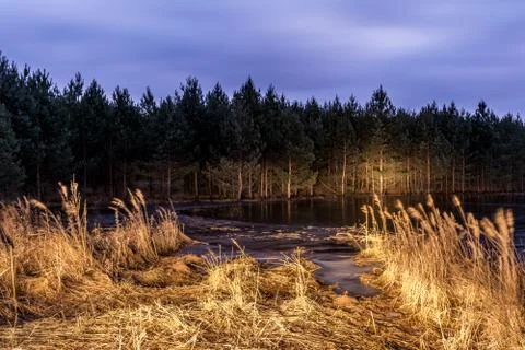 Forest lake with a shallow ice patch. Spruce grows on the shore and there is  Fotos de archivo