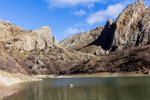 Forest lake shore view. Spring forest lake shore panorama Stock Photos