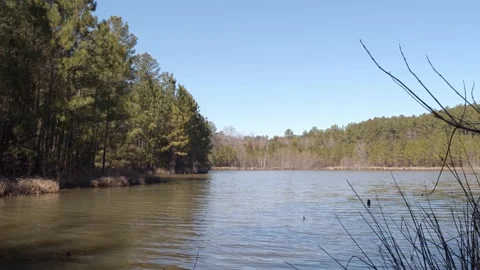 Forest Lake in Slow Motion Video stock 149860694