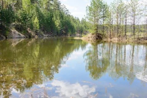 Forest lake in spring Stock Photos