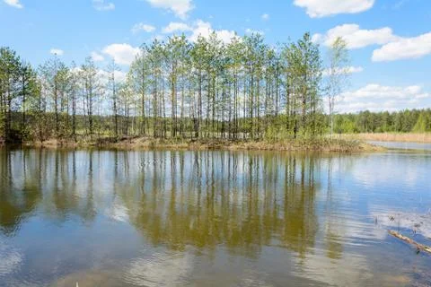 Forest lake in spring Stock Photos