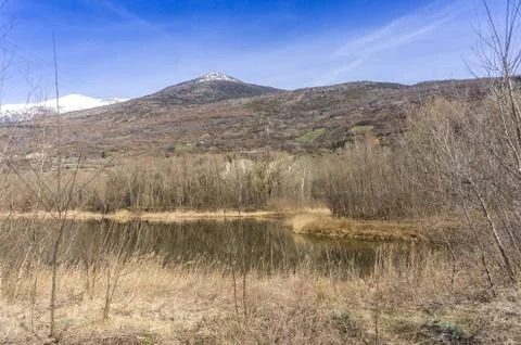 Forest with lake, spring walk Stock Photos