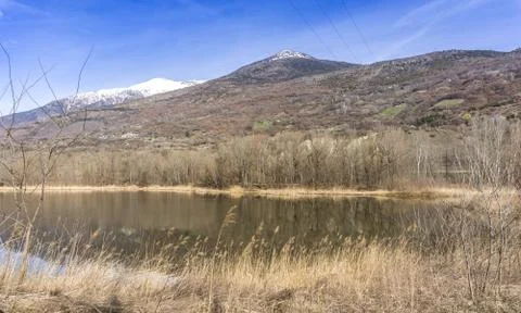 Forest with lake, spring walk Stock Photos