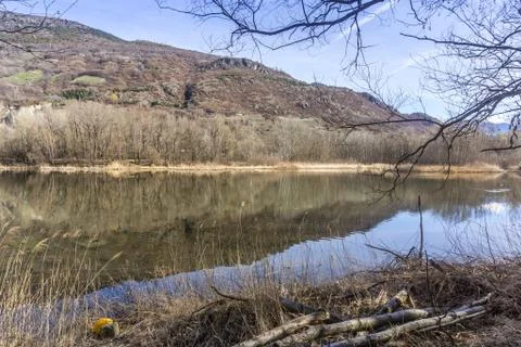 Forest with lake, spring walk Stock Photos