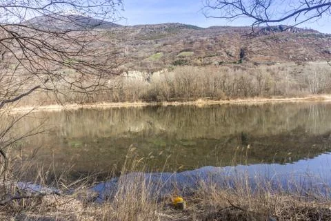 Forest with lake, spring walk Stock Photos