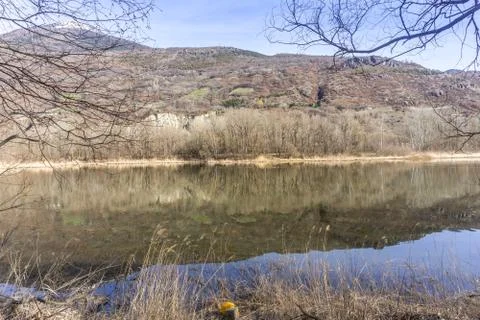 Forest with lake, spring walk Stock Photos
