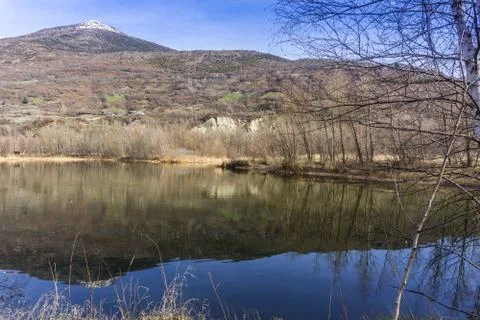 Forest with lake, spring walk Stock Photos