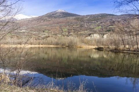 Forest with lake, spring walk Stock Photos
