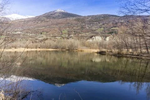 Forest with lake, spring walk Stock Photos