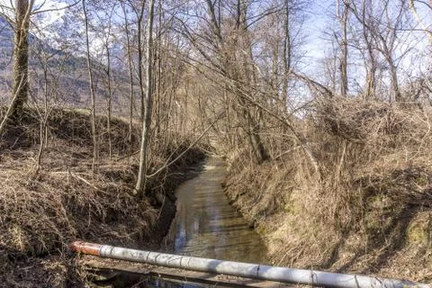 Forest with lake, spring walk Stock Photos