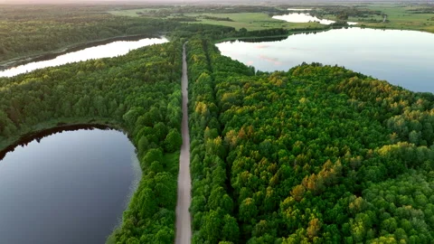 Forest Lake on subset. Rural landscape, Freshwater Lakes. Video stock 201210806