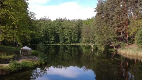 Forest lake in summer surrounded by coniferous trees. Aerial photography. Stock Footage 131747547