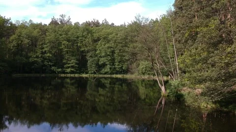 Forest lake in summer surrounded by coniferous trees. Aerial photography. Stock Footage 131748709