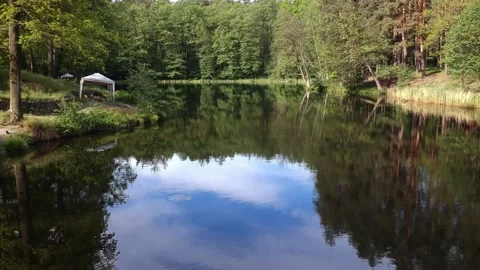 Forest lake in summer surrounded by coniferous trees. Aerial photography. Stock Footage 131750251