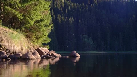 Forest lake in sunset. Camera moves slowly, panning left. Soft light. Stock Footage 203200891