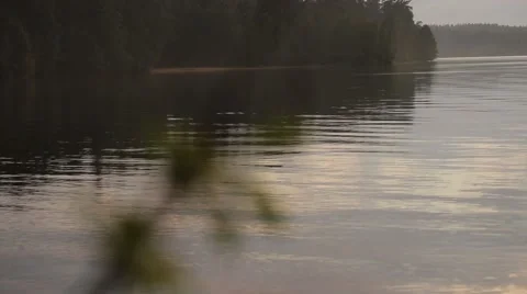 Forest lake at sunset Stock Footage 67420842