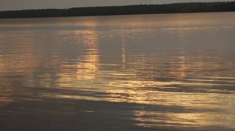 Forest lake at sunset Stock Footage 67420879