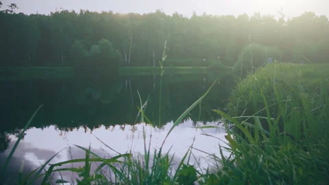 Forest Lake In Sunset Rays, Summer Landscape Video stock 108172280