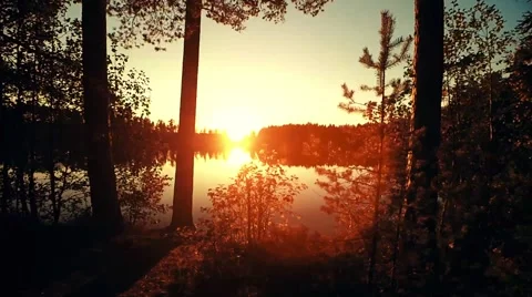 The Forest Lake Timelapse Sunset Stock Footage 62864919