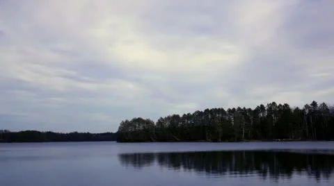 Forest lake with trees reflected Stock Footage 14969224