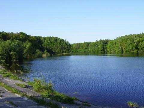 Forest lake trees in spring nature Stock Photos
