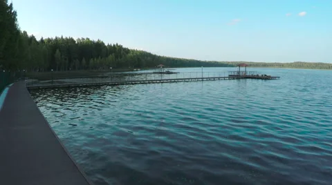 Forest lake under blue cloudy sky Stock Footage 63591519