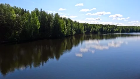 Forest lake under a bright blue sky. Stock Footage 340899159