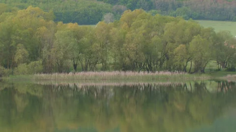 Forest lake in the valley Stock Footage 31810847