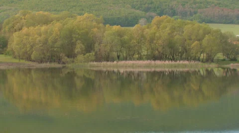 Forest lake in the valley Stock Footage 31811033