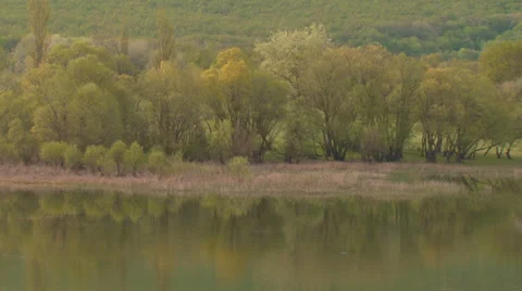 Forest lake in the valley Stock Footage 31811151