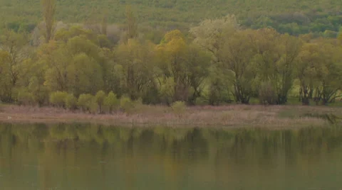 Forest lake in the valley Video stock 31811421