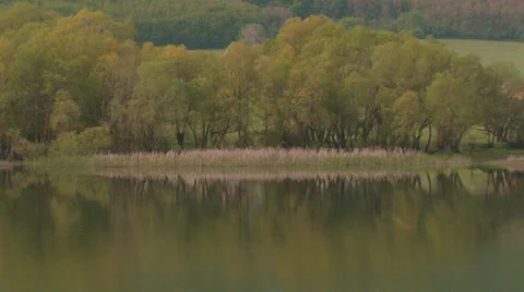 Forest lake in the valley Stock Footage 31811534