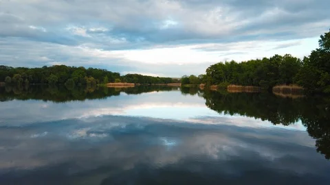 Forest lake view at the evening Video stock 108448497