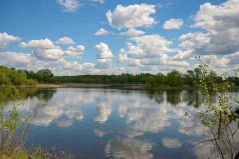 Forest lake in the windless Stock Photos