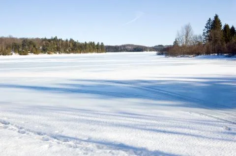Forest lake in winter Stock Photos