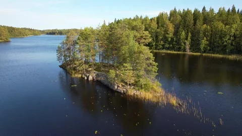 Forest with Lakes Scenic Landscape Drone 4K Vídeo Stock 252196995